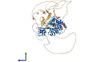 Protein Structure (PS) image for Mitogen-Activated Protein Kinase Kinase Kinase 14 (MAP3K14) (AA 1-942) protein (His tag) (ABIN7565221)