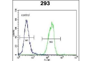 SOX2 Antibody (Center) (ABIN6243286 and ABIN6577389) flow cytometric analysis of 293 cells (right histogram) compared to a negative control cell (left histogram). (SOX2 抗体  (AA 89-119))