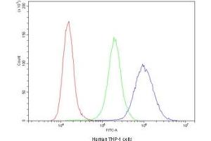 Flow Cytometry (FACS) image for anti-Cyclin B1 (CCNB1) (AA 1-433) antibody (ABIN3030583)