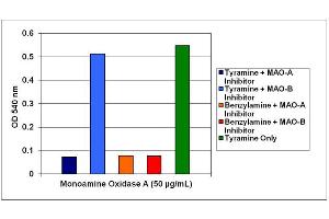 Measurement of MAO-A. (OxiSelect™ Monoamine Oxidase Assay Kit (Fluorometric))