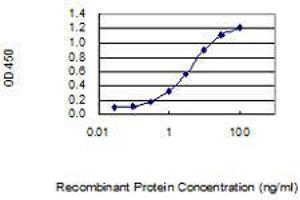 Detection limit for recombinant GST tagged SCGB2A2 is 0. (Mammaglobin A 抗体  (AA 1-93))