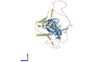Protein Structure (PS) image for Polycystic Kidney Disease 2 (Autosomal Dominant) (PKD2) (AA 1-966) protein (His tag) (ABIN7562291)