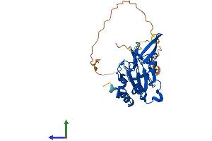 Protein Structure (PS) image for CTD Small Phosphatase-Like Protein (CTDSPL) (AA 1-276) protein (His tag) (ABIN7546814)
