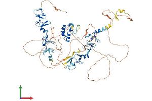 Protein Structure (PS) image for Actin Binding LIM Protein Family, Member 3 (ABLIM3) (AA 1-682) protein (His tag) (ABIN7557896)
