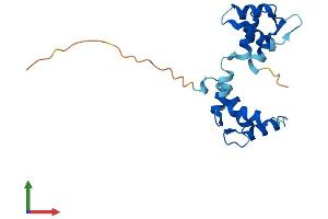 AlphaFold protein structure predicition of Mouse Recombinant Myl7 Protein, UniprotID Q9QVP4 (MYL7 Protein (AA 1-175) (His tag))