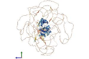 AlphaFold protein structure predicition of Mouse Recombinant Lmtk2 Protein, UniprotID Q3TYD6