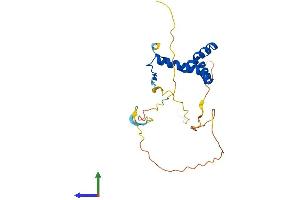 Protein Structure (PS) image for SRY (Sex Determining Region Y)-Box 14 (SOX14) (AA 1-240) protein (His tag) (ABIN7546195)
