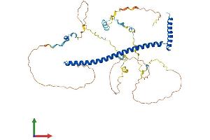 Protein Structure (PS) image for Spindle and Kinetochore Associated Complex Subunit 3 (SKA3) (AA 1-412) protein (His tag) (ABIN7555467)