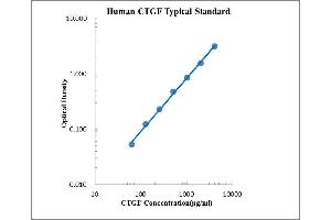 ELISA image for Connective Tissue Growth Factor (CTGF) ELISA Kit (ABIN2472068)