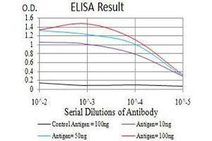 Black line: Control Antigen (100 ng),Purple line: Antigen (10 ng), Blue line: Antigen (50 ng), Red line:Antigen (100 ng) (NAA10 抗体  (AA 111-235))