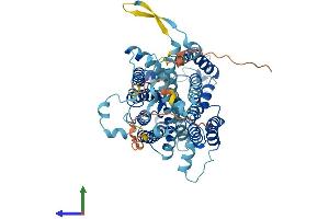 Protein Structure (PS) image for Sodium Dependent Vitamin C Transporter 1 (SVCT1) (AA 1-598) protein (His tag) (ABIN7551710)