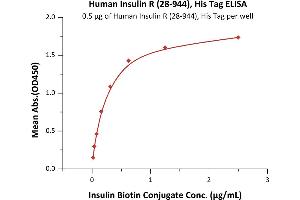 Immobilized Human Insulin R (28-944), His Tag (ABIN6731242,ABIN6809906) at 5 μg/mL (100 μL/well)can bind Insulin Biotin Conjugate with a linear range of 0.