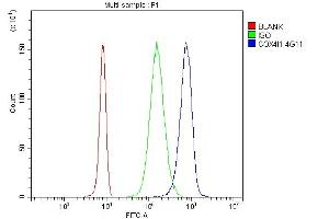 Flow Cytometry analysis of U937 cells using anti- COX IV antibody (ABIN7602090). (COX IV 抗体  (AA 59-169))