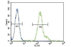 CEBPA antibody flow cytometric analysis of HeLa cells (green) compared to a negative control (blue).