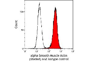 Flow Cytometry (FACS) image for anti-Actin, alpha 2, Smooth Muscle, Aorta (ACTA2) (AA 1-50) antibody (ABIN7449438)