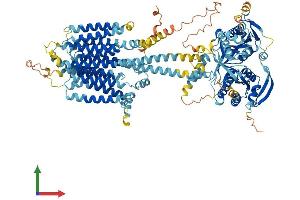 Protein Structure (PS) image for Adenylate Cyclase 4 (ADCY4) (AA 1-1077) protein (His tag) (ABIN7551908)
