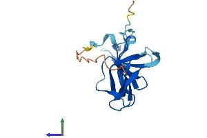 AlphaFold protein structure predicition of Human Recombinant FAM72D Protein, UniprotID Q6L9T8