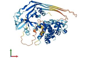 AlphaFold protein structure predicition of Mouse Recombinant Gsdmc Protein, UniprotID Q99NB5