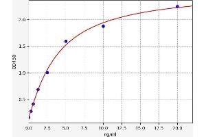 Ferritin, Light Polypeptide (FTL) ELISA Kit