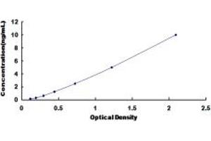 Typical standard curve (Ephrin A5 ELISA 试剂盒)