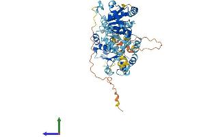 Protein Structure (PS) image for DEAD (Asp-Glu-Ala-Asp) Box Polypeptide 56 (DDX56) (AA 1-546) protein (His tag) (ABIN7560850)
