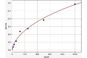 Typical standard curve (BMP4 ELISA 试剂盒)