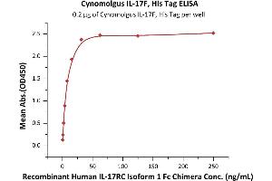 Interleukin 17F (IL17F) (AA 31-163) (Active) protein (His tag)
