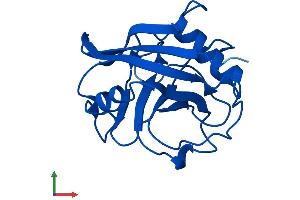 AlphaFold protein structure predicition of Human Recombinant PPIAL4F Protein, UniprotID P0DN26
