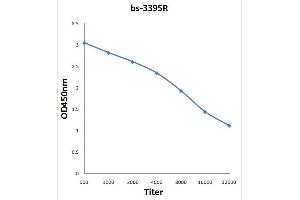 Antigen: 0. (SGK1 抗体  (pSer78))