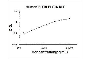 Fucosyltransferase 8 (Alpha (1,6) Fucosyltransferase) (FUT8) ELISA Kit