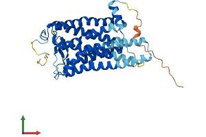 Protein Structure (PS) image for Opsin 1 (Cone Pigments), Short-Wave-Sensitive (OPN1SW) (AA 1-346) protein (His tag) (ABIN7563382)