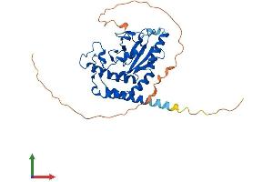 AlphaFold protein structure predicition of Human Recombinant UBE2Z Protein, UniprotID Q9H832