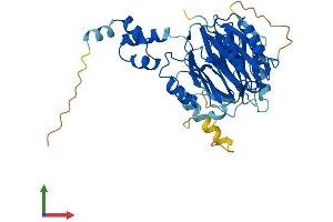 AlphaFold protein structure predicition of Mouse Recombinant Fbxo22 Protein, UniprotID Q78JE5