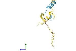 Protein Structure (PS) image for Protein Kinase (CAMP-Dependent, Catalytic) Inhibitor gamma (PKIG) (AA 1-76) protein (Fc Tag) (ABIN7562508)