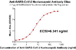 Elisa plate pre-coated by 2 μg/mL(100 μL/well) SARS-CoV-2 Nucleocapsid protein, His Tag(Cat. (SARS-CoV-2 Nucleocapsid 抗体)