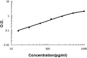 Sandwich ELISA - Recombinant human IL33 protein standard curve.