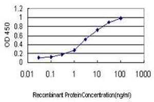 Detection limit for recombinant GST tagged S100A10 is approximately 0. (S100A10 抗体  (AA 1-97))