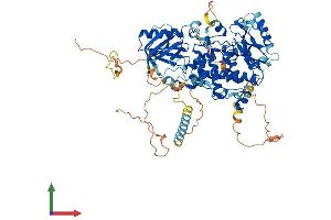 Protein Structure (PS) image for Myotubularin Related Protein 12 (MTMR12) (AA 1-747) protein (His tag) (ABIN7549567)