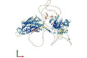 Protein Structure (PS) image for Solute Carrier Family 12 (Potassium-Chloride Transporter) Member 2 (SLC12A2) (AA 1-1205) protein (His tag) (ABIN7563452)