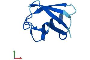 AlphaFold protein structure predicition of Human Recombinant UBL5 Protein, UniprotID Q9BZL1