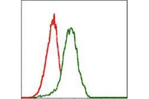Flow cytometric analysis of Jurkat cells using PDX1 mouse mAb (green) and negative control (red). (PDX1 抗体)