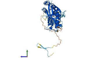 Protein Structure (PS) image for Activating Signal Cointegrator 1 Complex Subunit 1 (ASCC1) (AA 1-356) protein (His tag) (ABIN7561146)