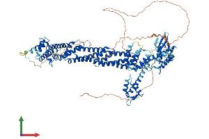 Protein Structure (PS) image for Cullin 4B (CUL4B) (AA 1-913) protein (His tag) (ABIN7553577)