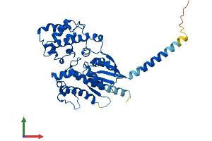 Protein Structure (PS) image for Guanine Nucleotide Binding Protein, alpha Stimulating, Olfactory Type (GNAL) (AA 1-381) protein (His tag) (ABIN7548049)