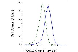Validation of FANCC knockdown using flow cytometry. (FANCC 抗体)