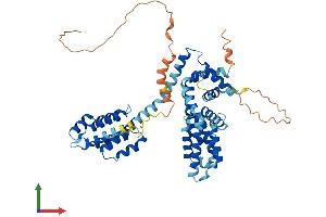 Protein Structure (PS) image for T-Complex 11, Testis-Specific (TCP11) (AA 1-503) protein (His tag) (ABIN7544363)
