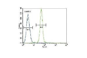 HMOX1 Antibody (Center) (ABIN655187 and ABIN2844803) flow cytometric analysis of A549 cells (right histogram) compared to a negative control cell (left histogram). (HMOX1 抗体  (AA 177-204))