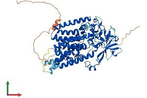 Protein Structure (PS) image for Asparagine-Linked Glycosylation 9, alpha-1,2-Mannosyltransferase (ALG9) (AA 1-611) protein (His tag) (ABIN7552142)