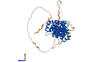 Protein Structure (PS) image for Annexin A7 (ANXA7) (AA 1-463) protein (His tag) (ABIN7556909)