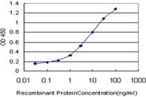 Detection limit for recombinant GST tagged NEK4 is approximately 0. (NEK4 抗体  (AA 680-781))